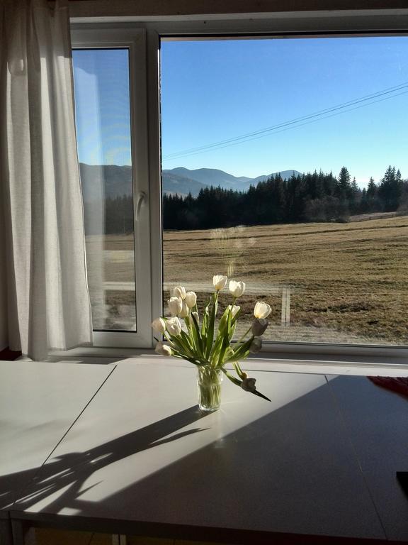 Hotel Kam In Krivopol'ye Zewnętrze zdjęcie