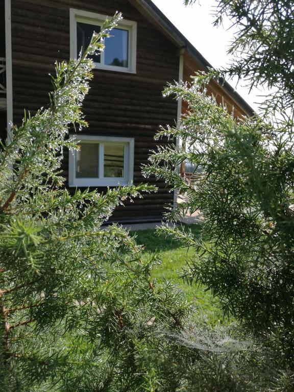 Hotel Kam In Krivopol'ye Zewnętrze zdjęcie